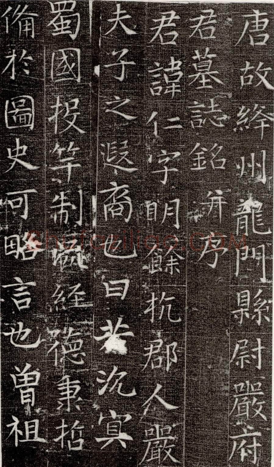 张旭《严仁墓志》