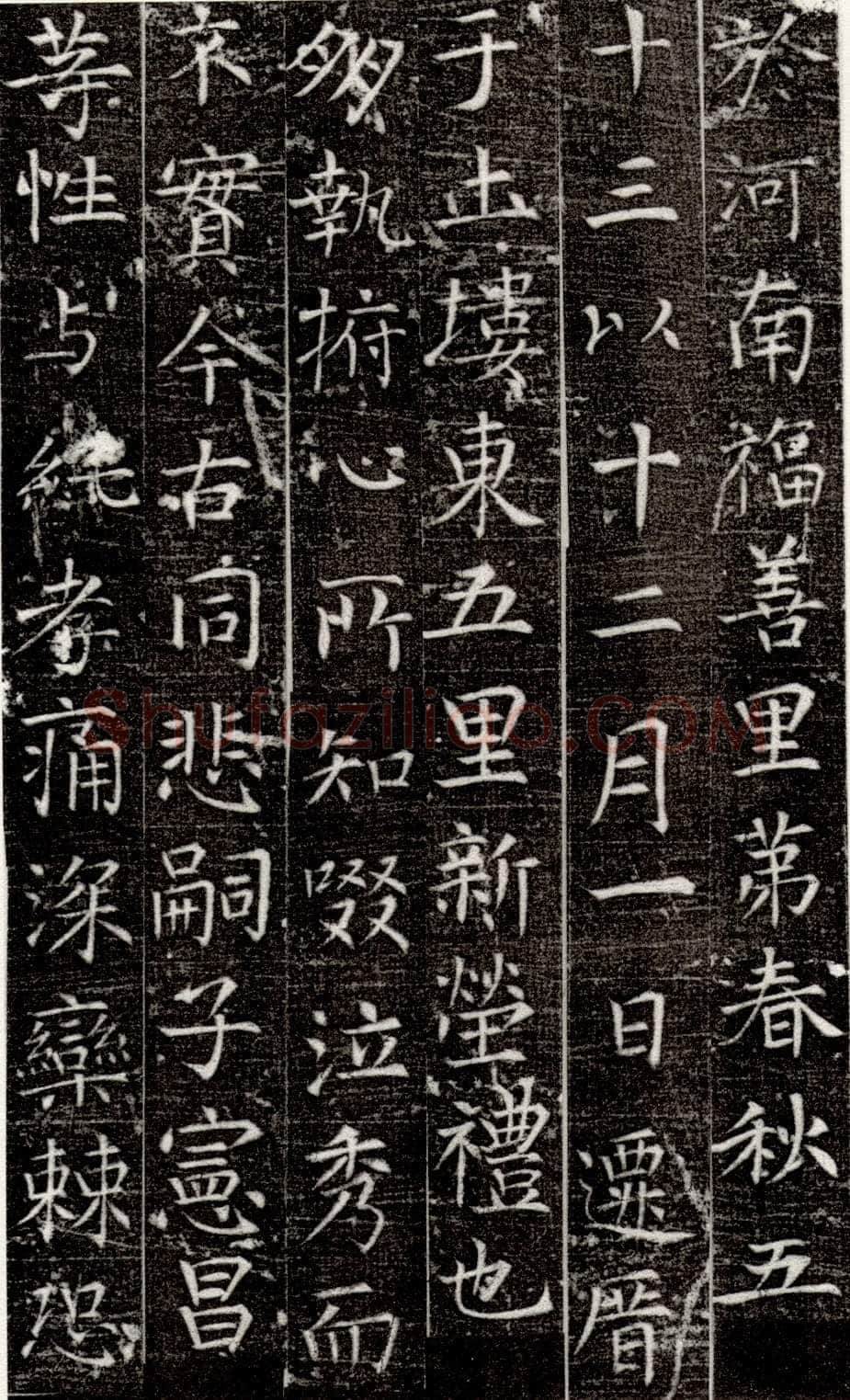 张旭《严仁墓志》