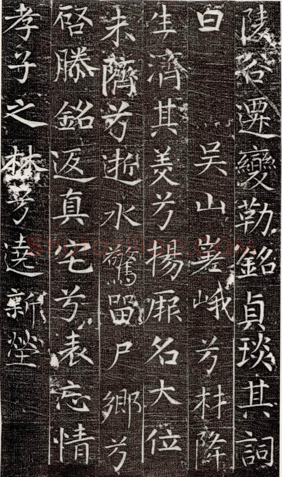 张旭《严仁墓志》
