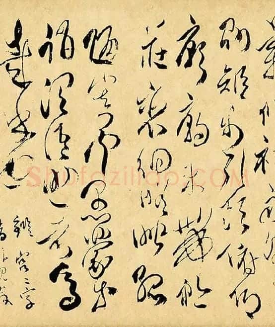 傅山《草书千字文》_03
