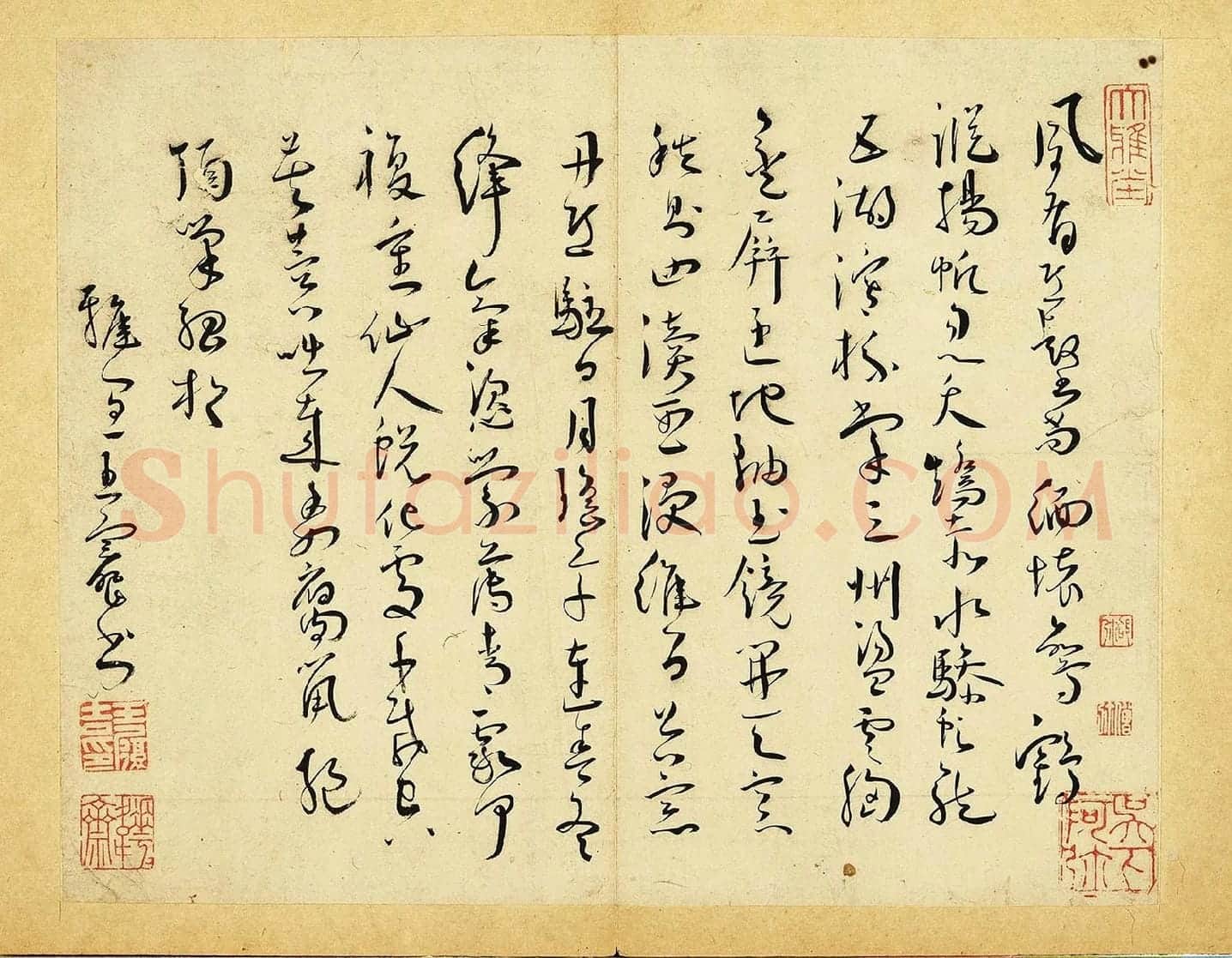 王宠草书书诗页