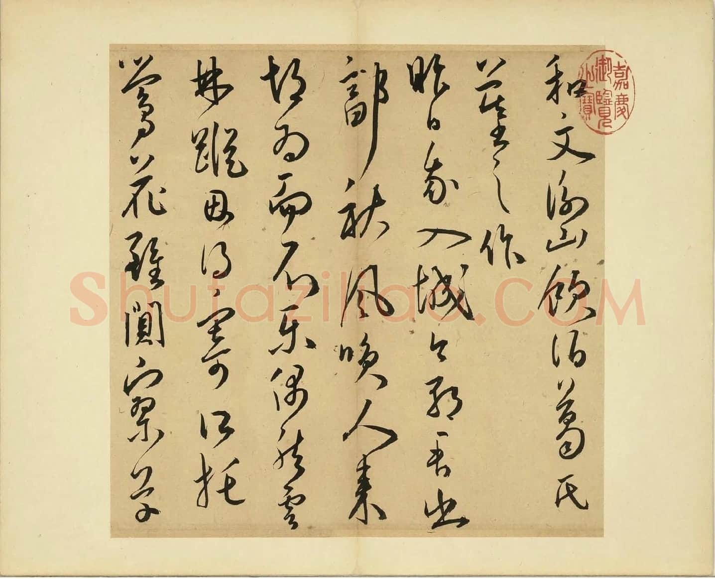 王宠草书诗册_01