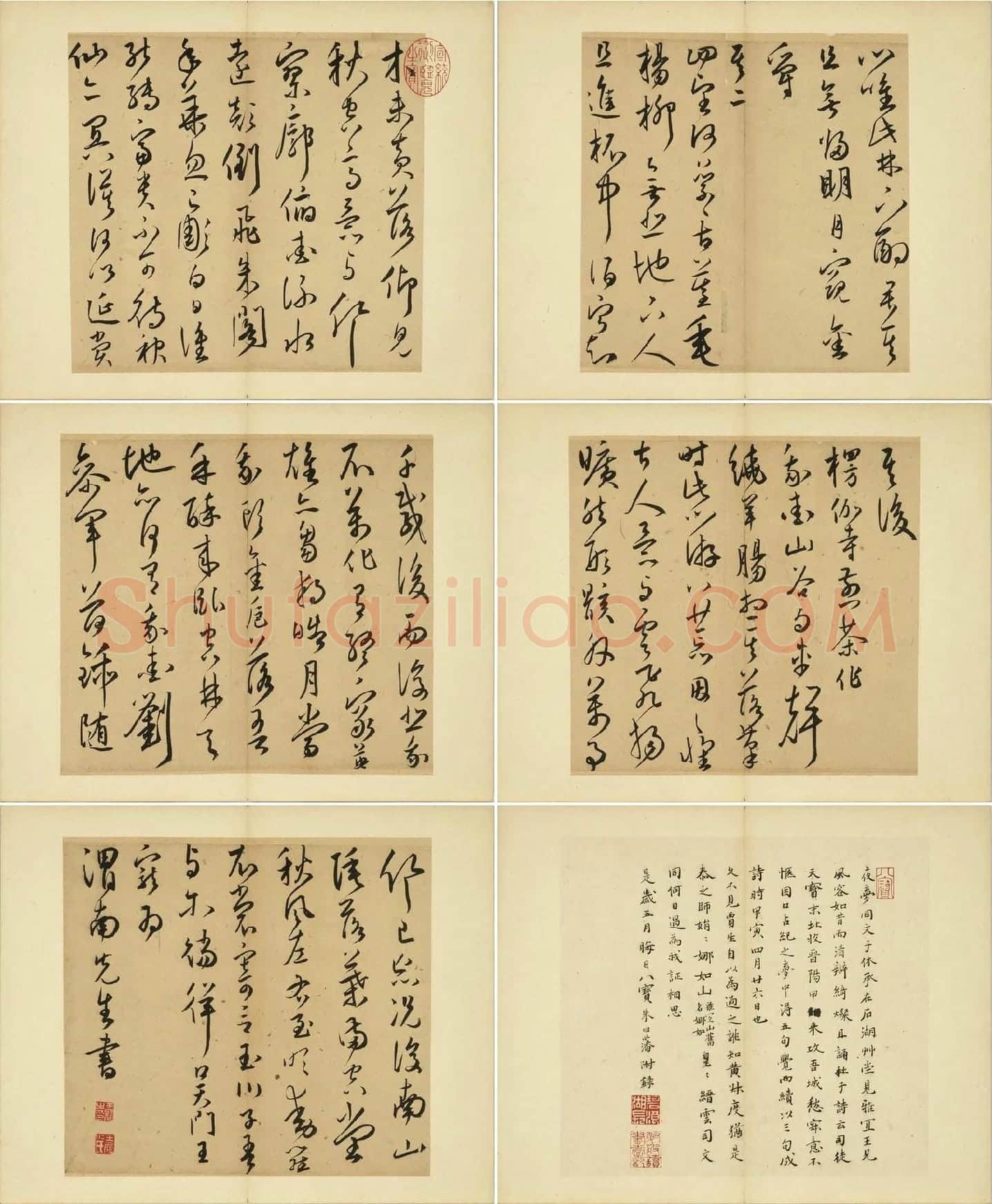 王宠草书诗册_02