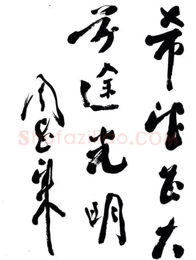 周恩来希望正大，前途光明