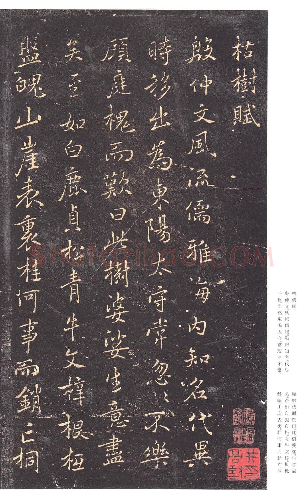 褚遂良《枯树赋》明拓本 行书 26.2×15.1cm 贞观四年(630) 日本三井纪念美术馆藏