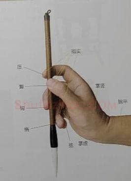 毛笔书法知识,小学生书法练习指导 三年级