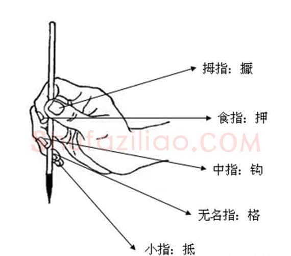 毛笔书法知识,毛笔执笔法与姿势---五字执笔法