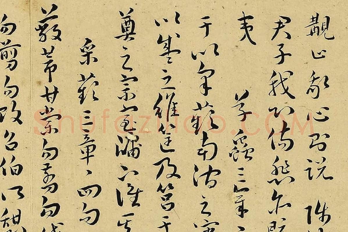 王宠真草书《书诗经二南古诗十九首》局部 (5)