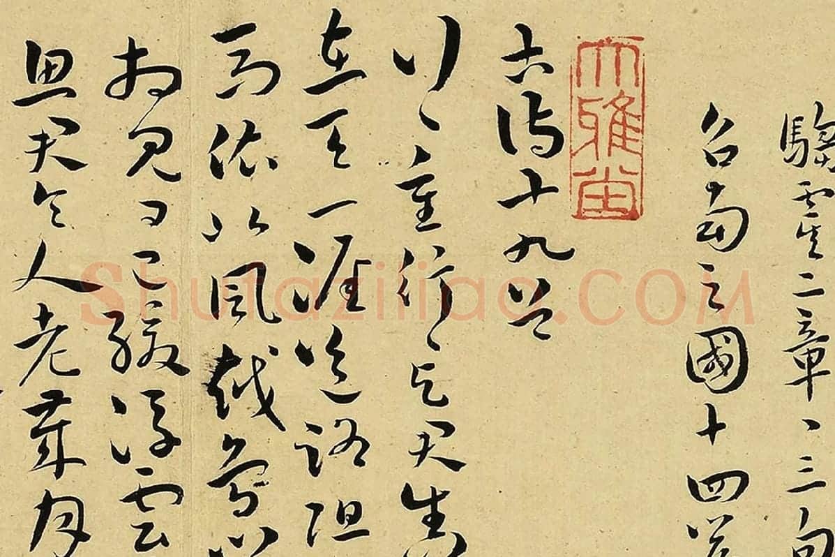 王宠真草书《书诗经二南古诗十九首》局部 (8)