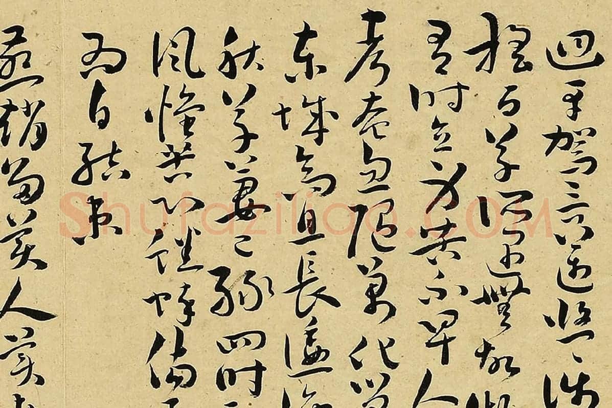 王宠真草书《书诗经二南古诗十九首》局部 (11)