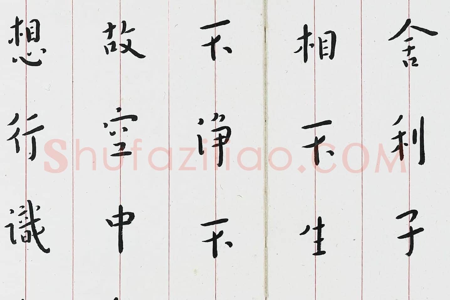 弘一法师楷书《心经》局部 (4)
