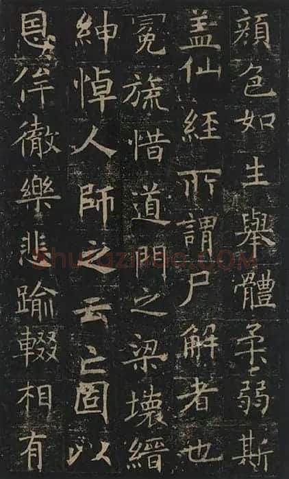 褚遂良楷书《孟法师碑》 (9)