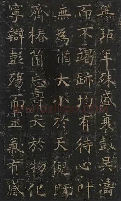 褚遂良楷书《孟法师碑》 (11)