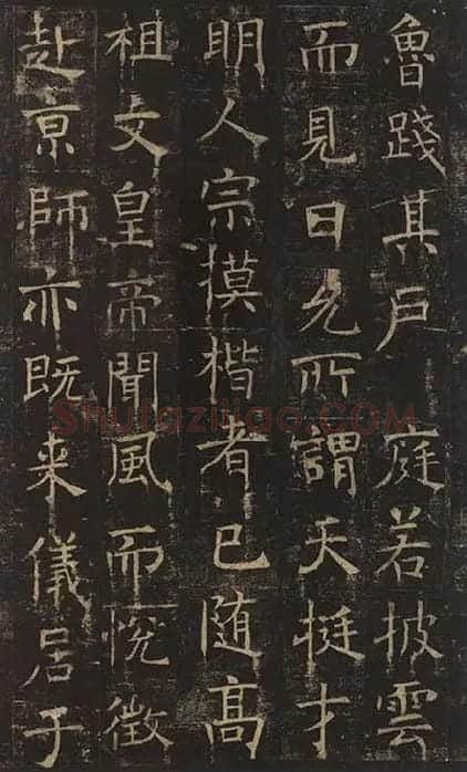 褚遂良楷书《孟法师碑》 (15)