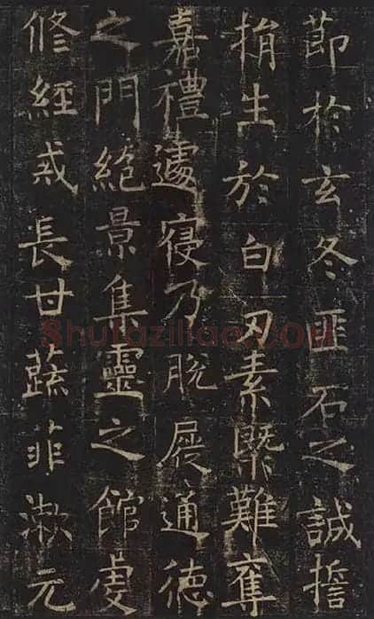 褚遂良楷书《孟法师碑》 (17)