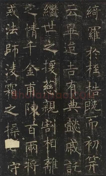 褚遂良楷书《孟法师碑》 (18)