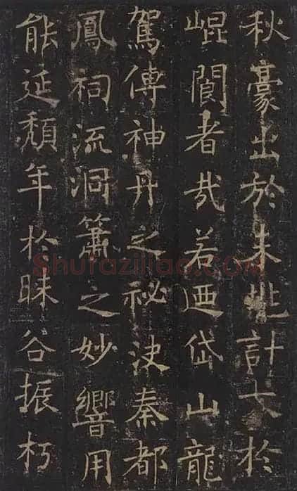 褚遂良楷书《孟法师碑》 (22)