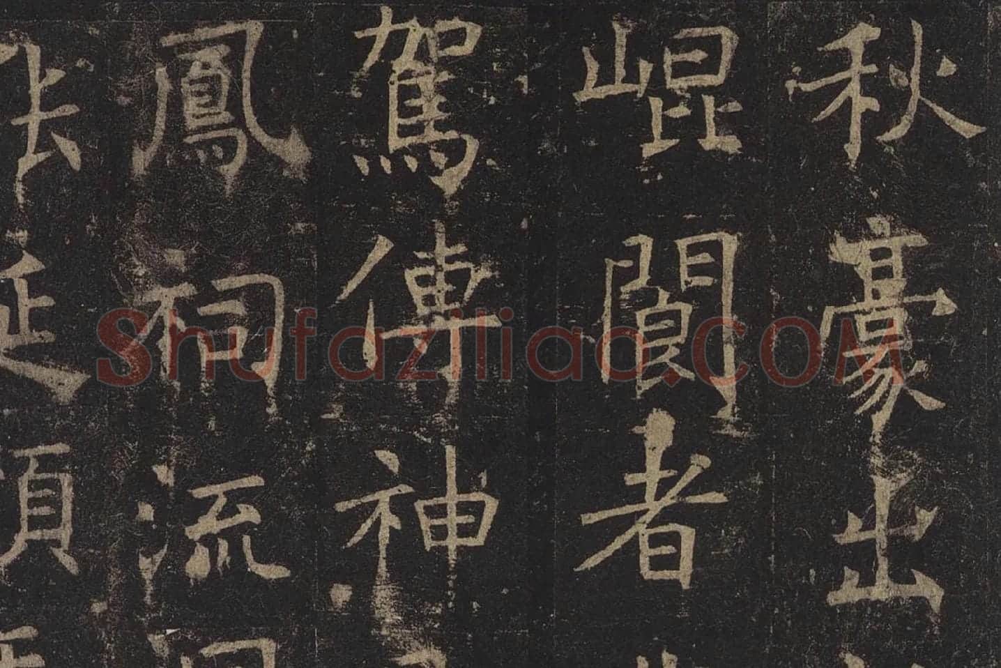 褚遂良楷书《孟法师碑》局部 (2)