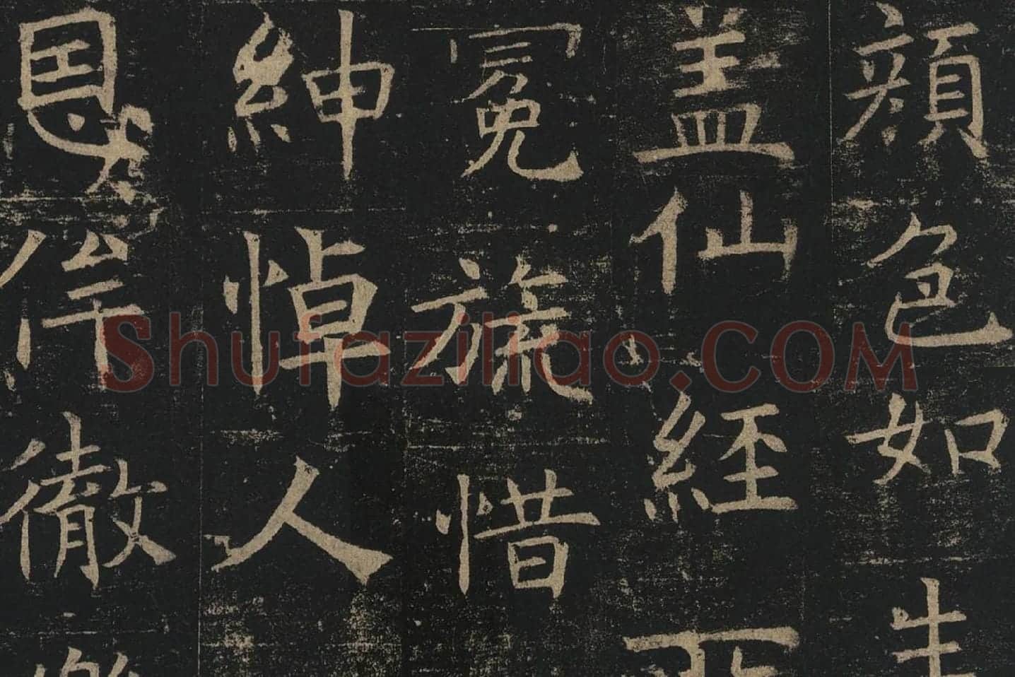 褚遂良楷书《孟法师碑》局部 (11)
