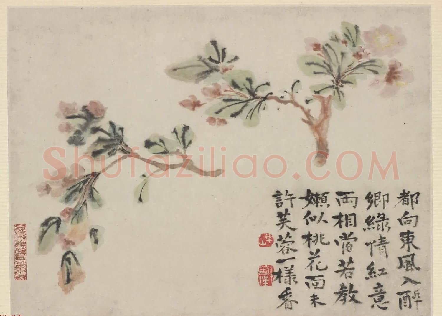 清代画家石涛花卉图册 美国弗利尔美术馆藏 | 传世书法作品鉴赏