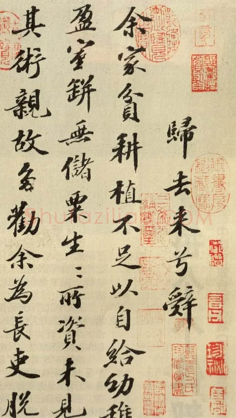 苏轼行书墨迹欣赏《归去来兮辞》 | 软笔书法作品