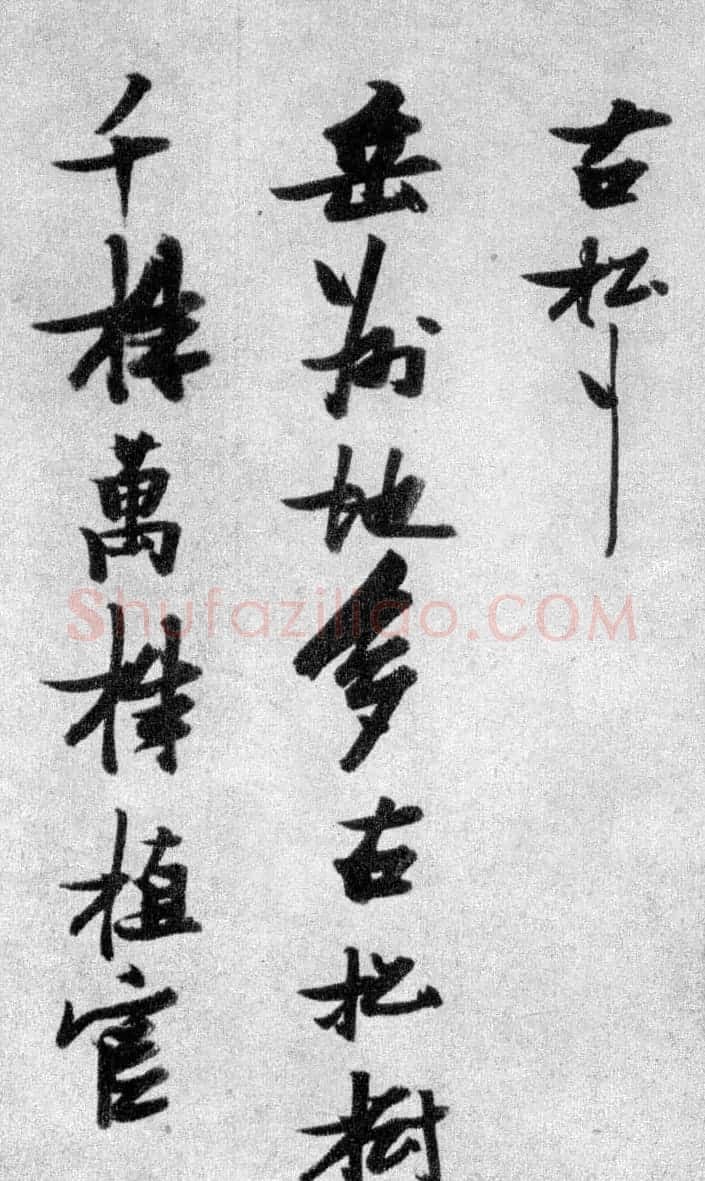 晚明张瑞图行书欣赏《古松行》 | 名家书法作品精选