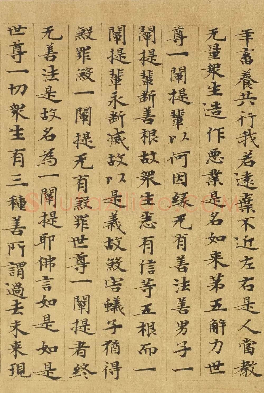 楷书高清大图欣赏《大般涅槃经迦叶菩萨品第十二》 | 敦煌写经欣赏