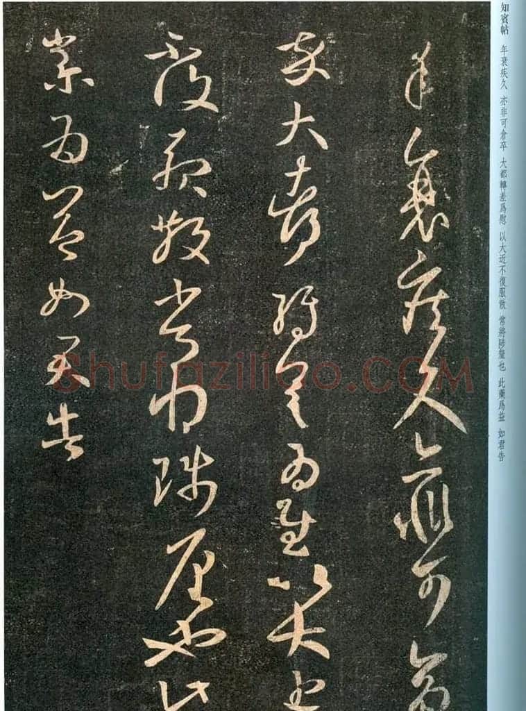 王羲之草书《知宾帖》5种版本 | 名家书法作品精选