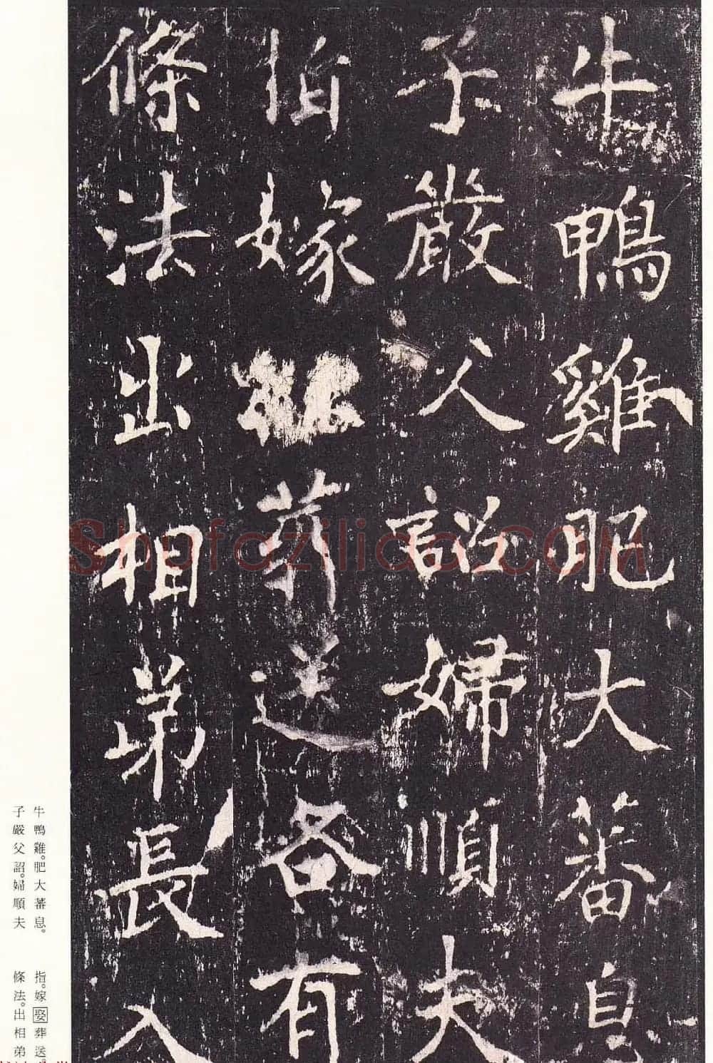 唐代书法家沈传师楷书《宋拓柳州罗池庙碑》二玄社原色法帖 | 书法碑帖