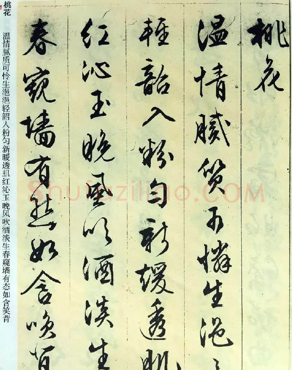文徵明89岁墨宝《文征明书杂花诗十二首》 | 名家书法作品赏析