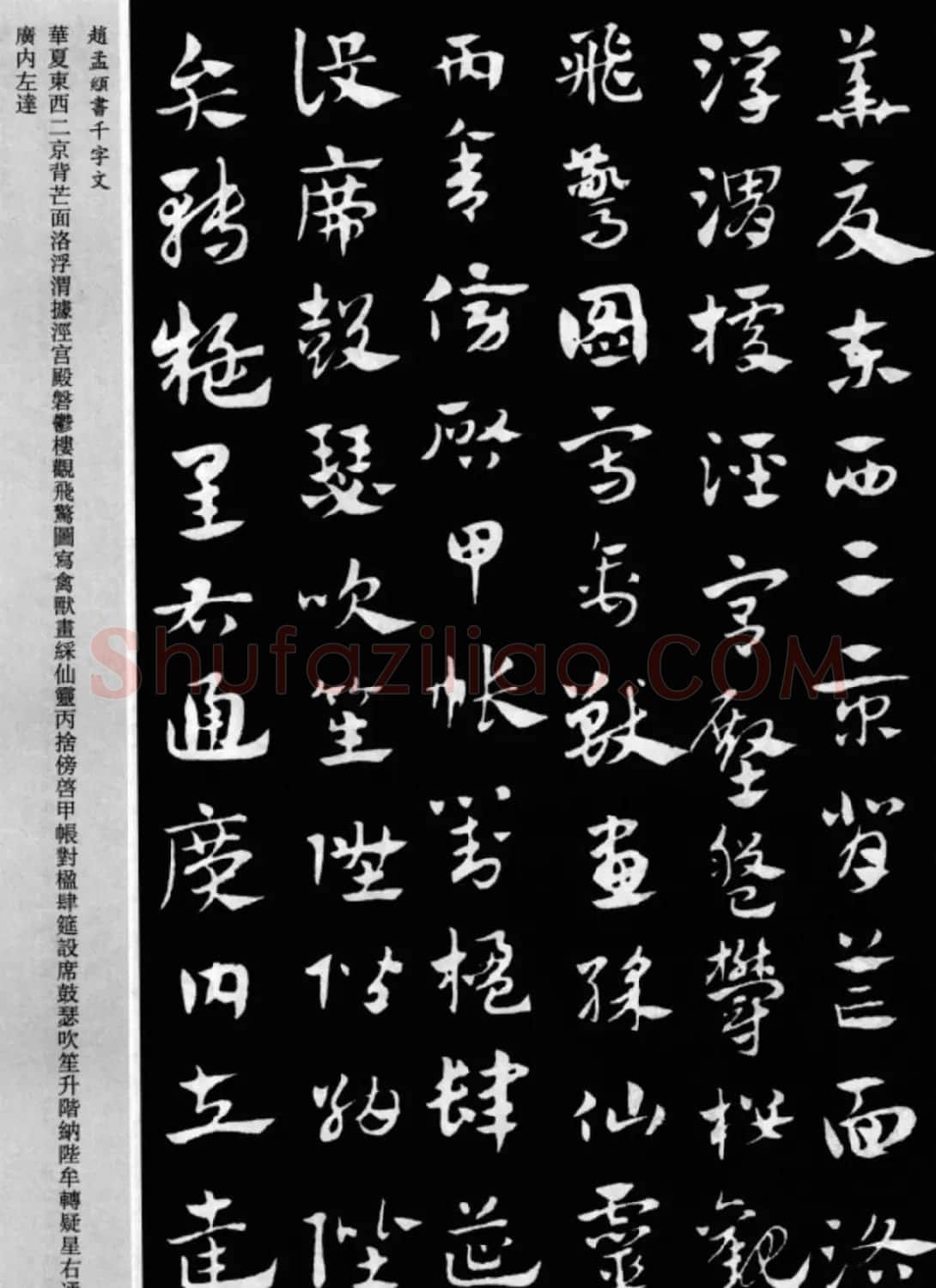 赵孟頫书法章草千字文(附释文)图片17P | 软笔草书字帖