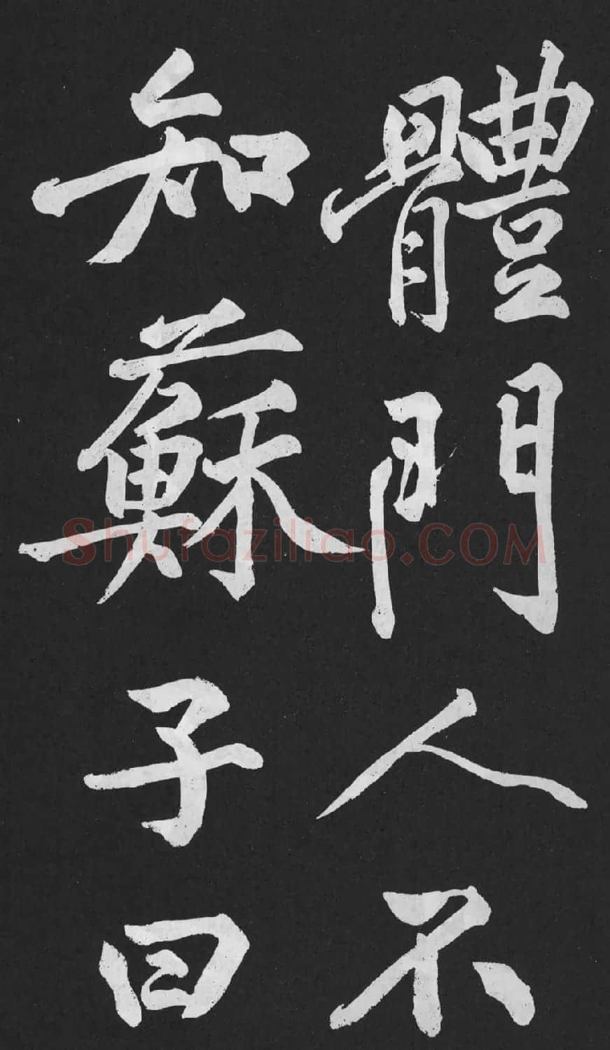 黄庭坚大字行楷书《刘明仲墨竹赋》 | 软笔书法作品