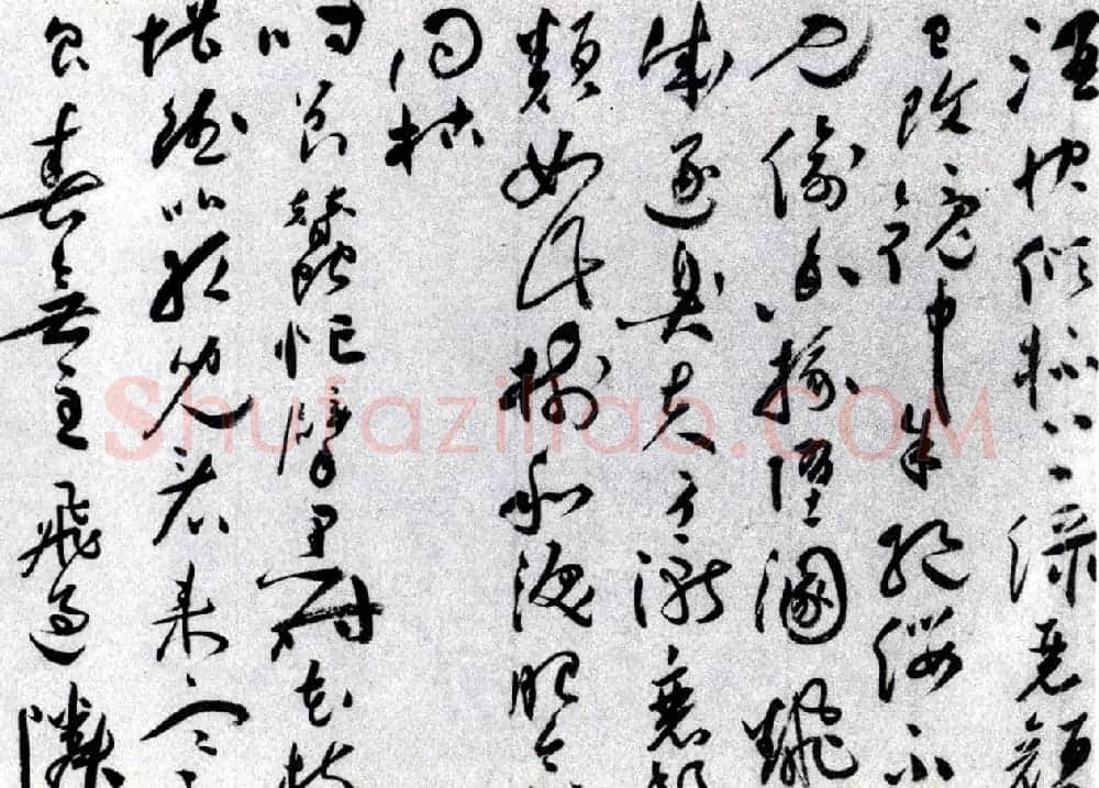 祝允明草书欣赏《唐寅落花诗八首》 | 书法名家作品欣赏