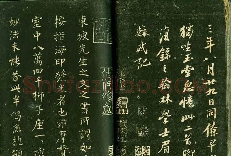苏轼书法精品《三希堂法帖第十二册》 | 软笔书法作品