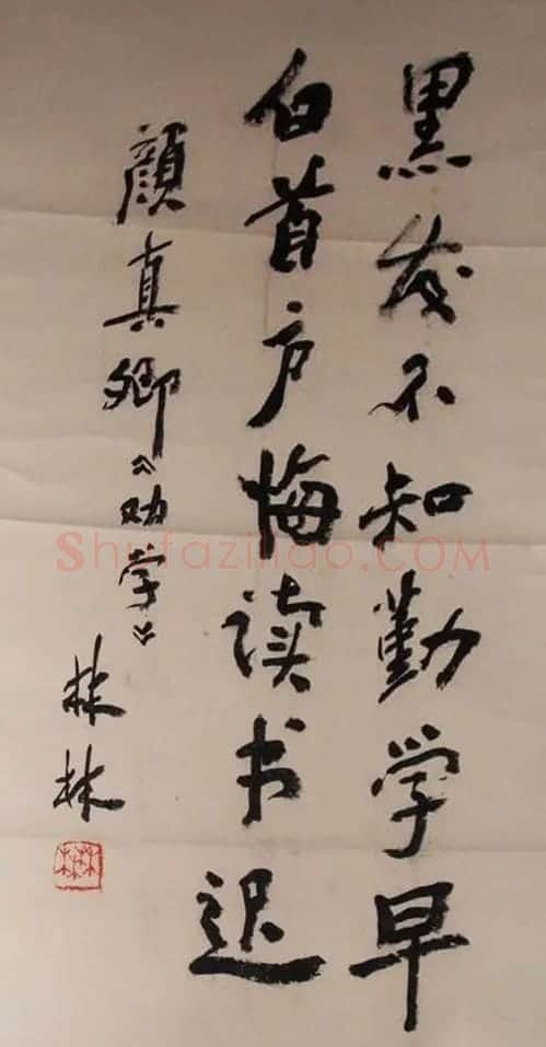 林林书法作品欣赏 | 书法作品精选