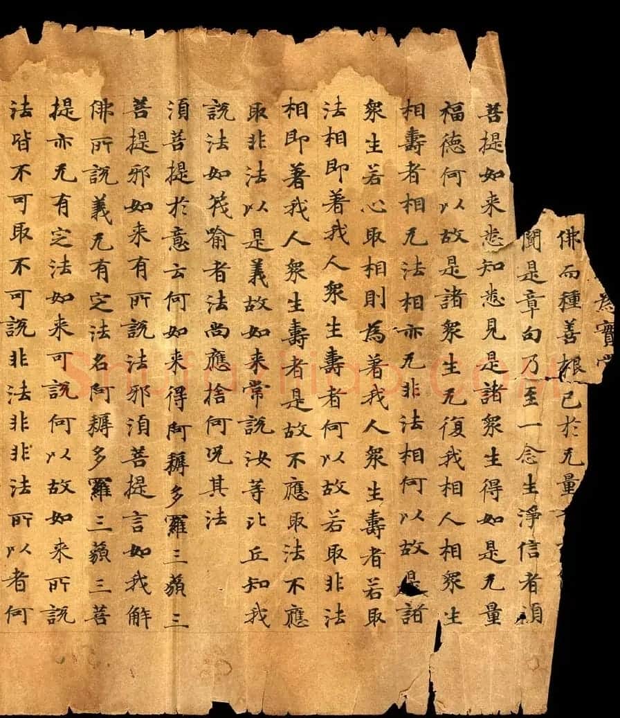 唐朝欧阳玄愆楷书写《金刚般若波罗密经》 | 敦煌写经精选