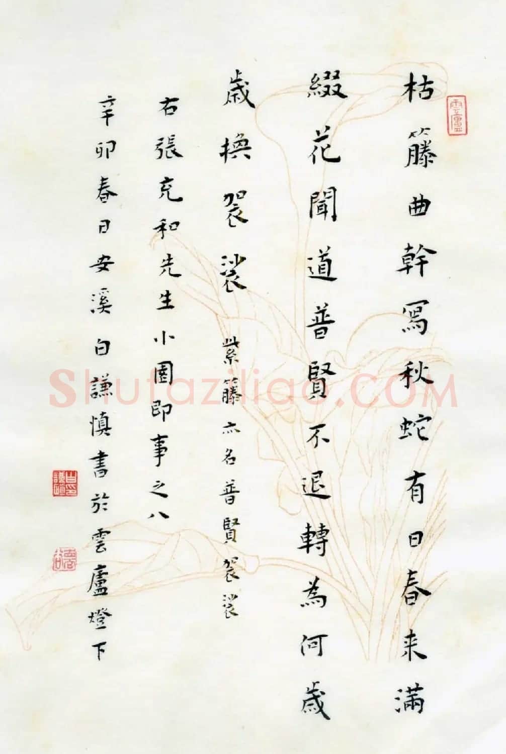 白谦慎楷书册页欣赏《小园即事》 | 书法作品鉴赏