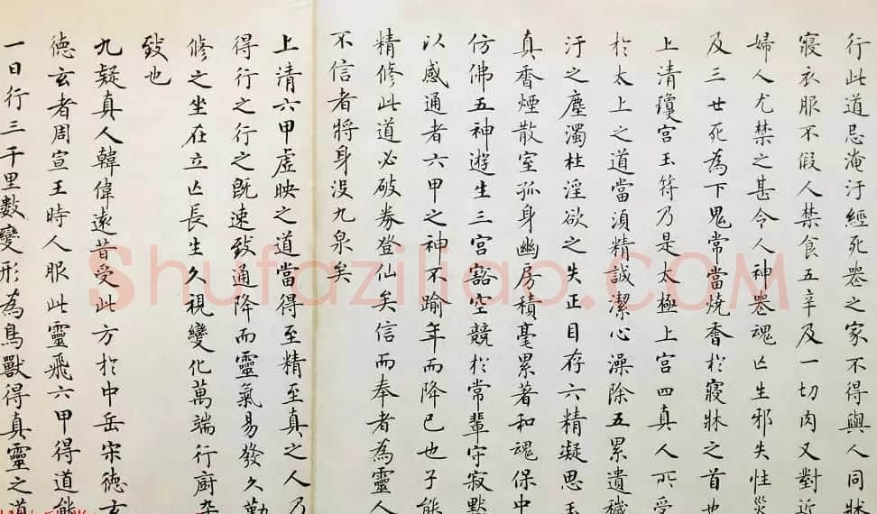 著名书法家卢中南2011年临写《灵飞经》 | 毛笔书法作品