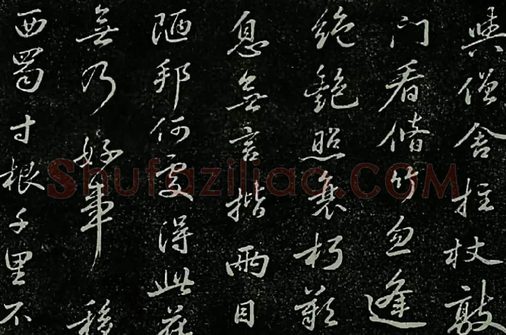 苏东坡书法欣赏《定慧院海棠诗》 | 毛笔书法作品