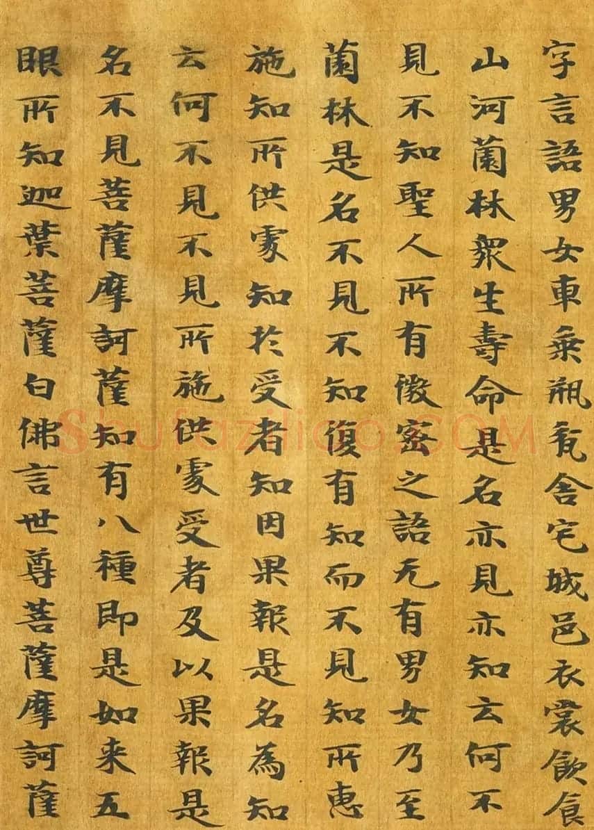 隋代释善藏书写《大般涅槃经卷十六》 | 敦煌写经鉴赏
