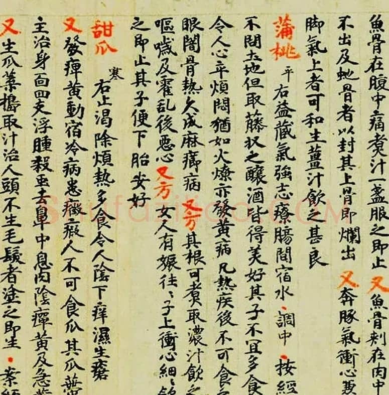 敦煌遗书墨迹--食疗药书残卷 | 敦煌写经赏析
