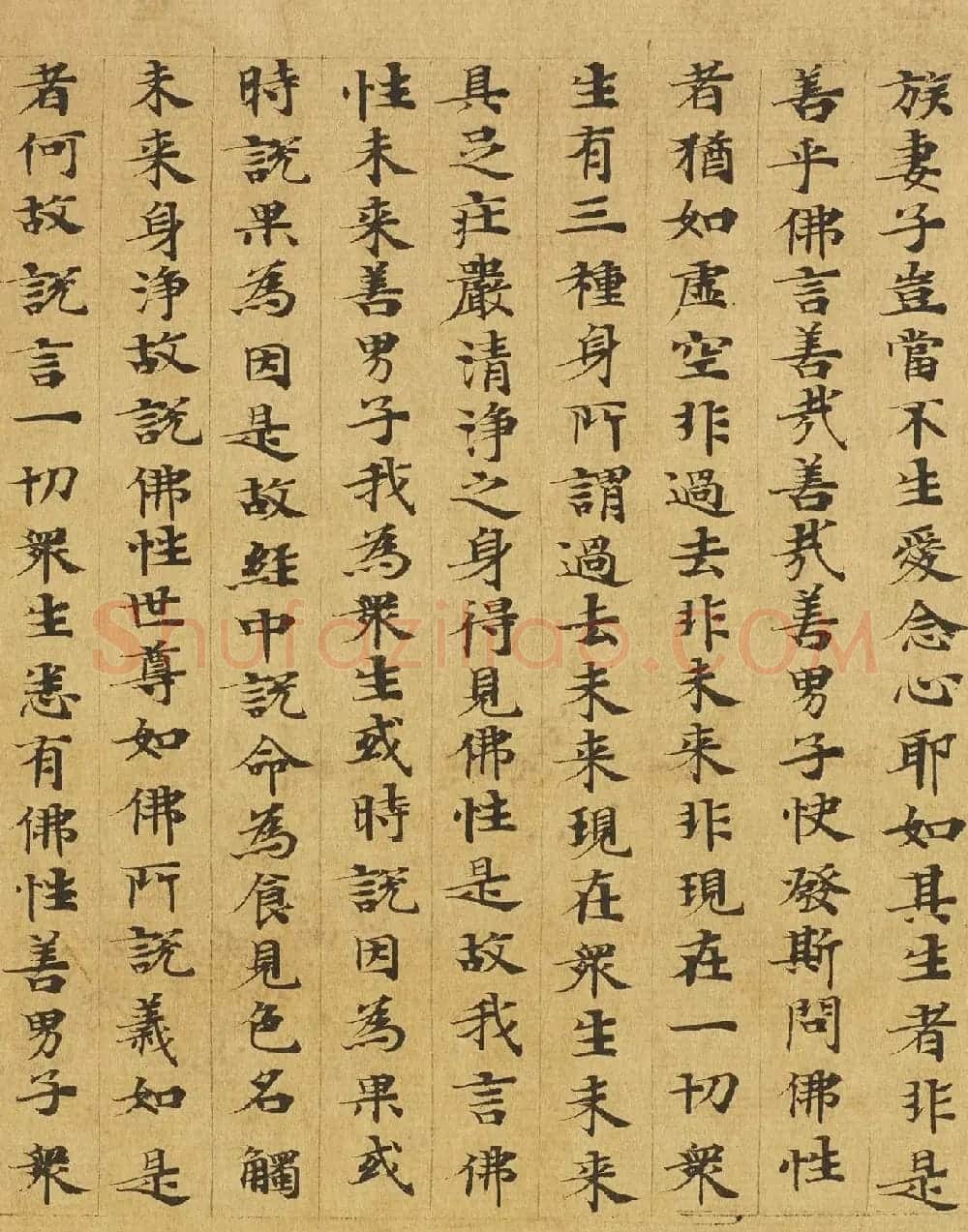 楷书高清大图欣赏《大般涅槃经迦叶菩萨品第十二》 | 敦煌写经欣赏