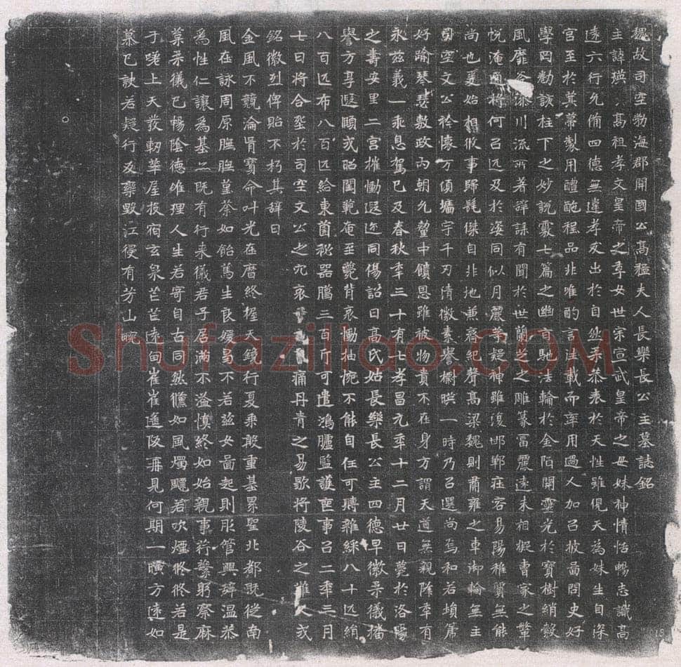 元瑛墓志前秦北朝碑刻碑拓,摘自前秦北朝元瑛墓志(全本)