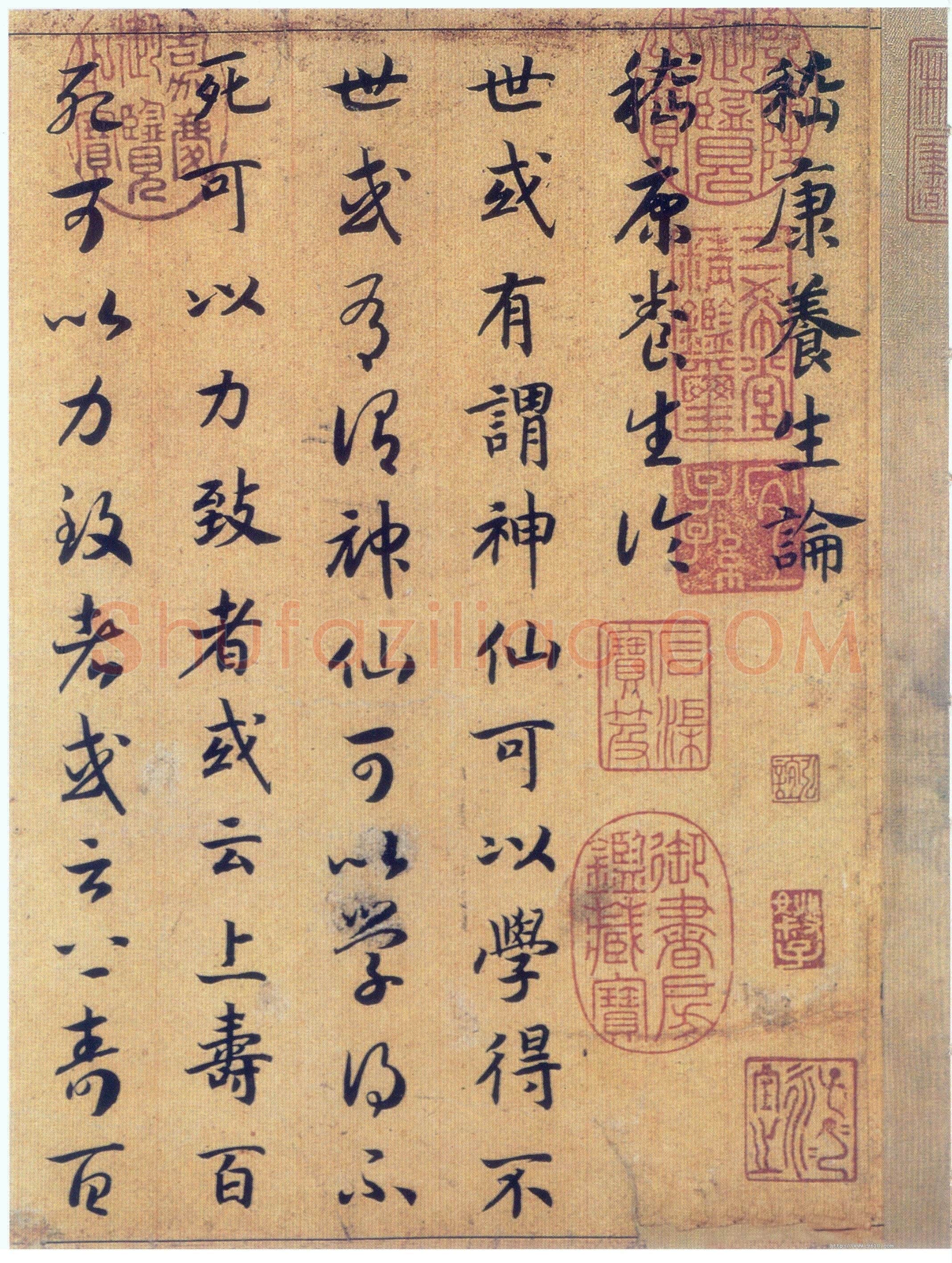 赵构《真草书养生论卷》纸本 23.5×602.8cm 上海博物馆藏
