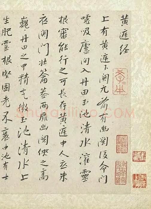 朱耷小行楷黄庭经_15