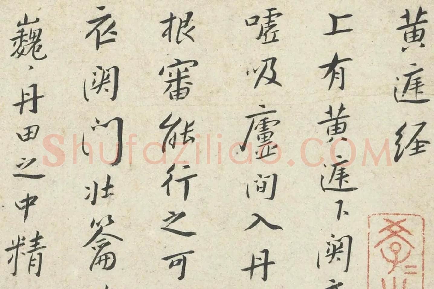 朱耷小行楷黄庭经册局部 (1)