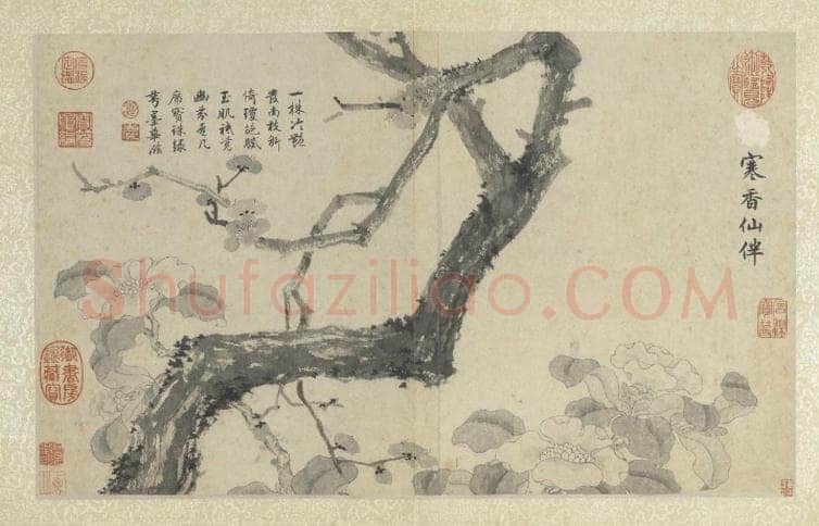 心得书法知识,书法“怪相”及其行为透析与矫正