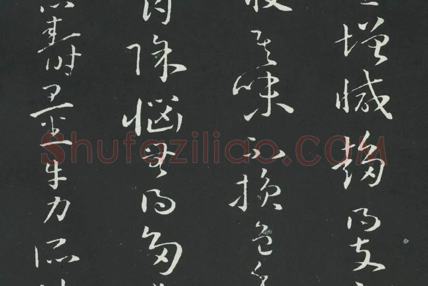 孙过庭草书《佛遗教经》墨拓局部 (9)