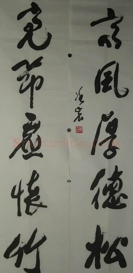 谢冰岩书法作品欣赏 | 软笔书法作品