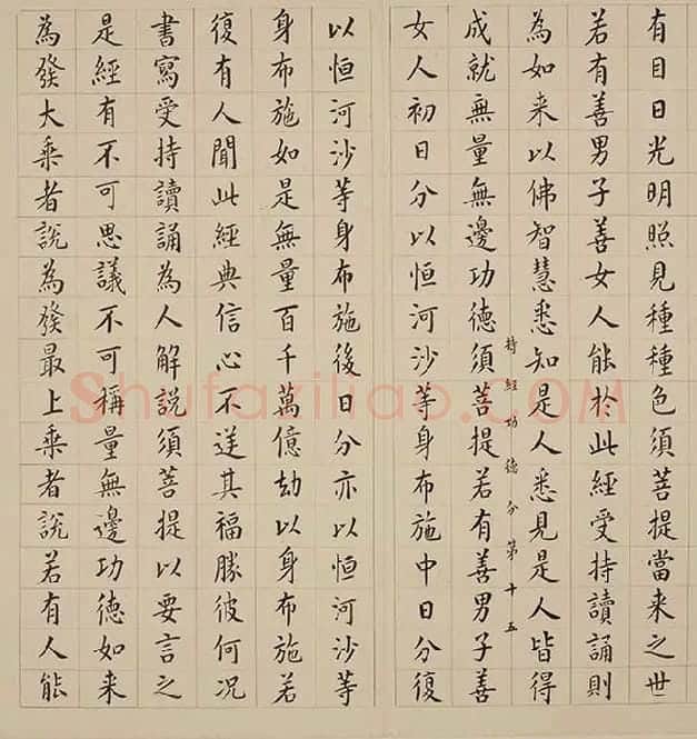 翁方纲小楷《金刚经册》_17